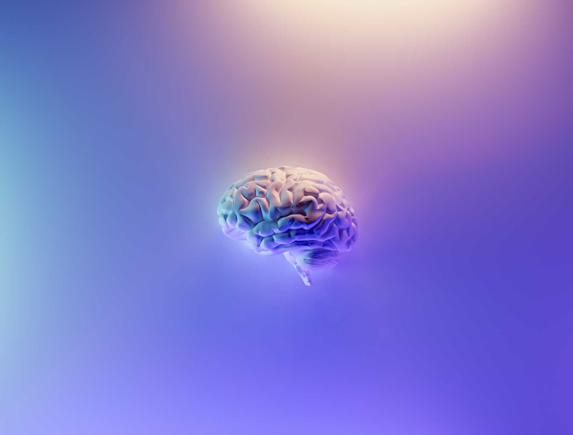 featured image thumbnail for post How To Find Peace With the Amygdala